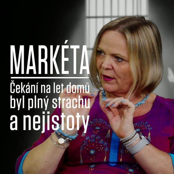 Motýl za katrem